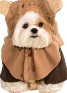 NEW Star Wars / Ewok Pet Costume